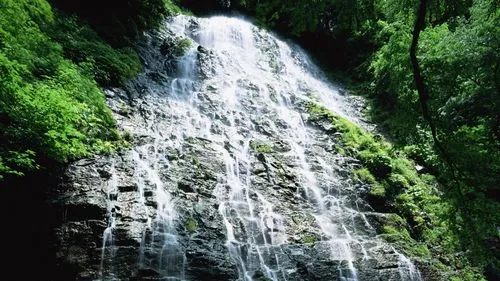 智能可靠性高标准